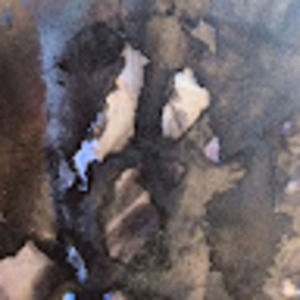 Meet your Posher, Hugh janis